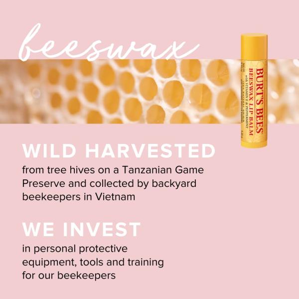 Burt's Bees Easter Basket Stuffers Gifts, 5 Body Care Products, Everyday Essentials Set - Original Beeswax Lip Balm, Deep Cleansing Cream. Hand Salve, Body Lotion & Foot Cream, Travel Size